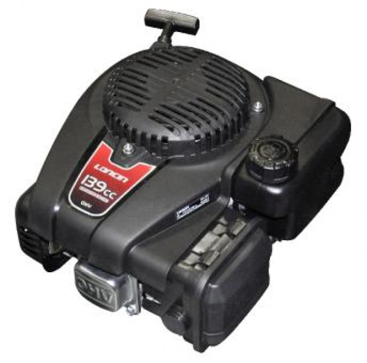 LONCIN Motor LC1P65FE (22,2/80)