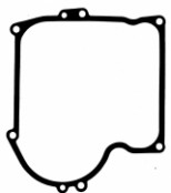 BRIGGS + STRATTON Ölwannendichtungen 