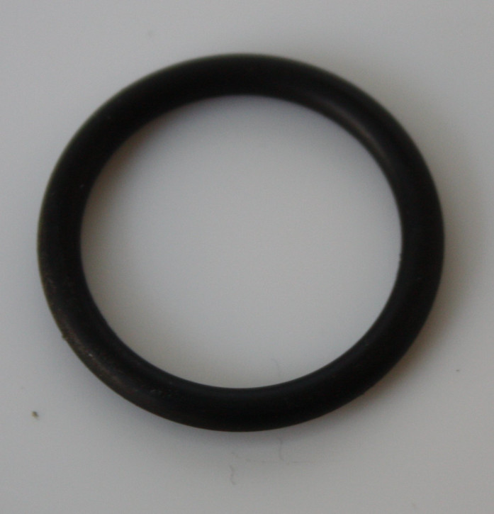 Agria : Ersatzteil Dichtring Rundgummi 02157-AGR