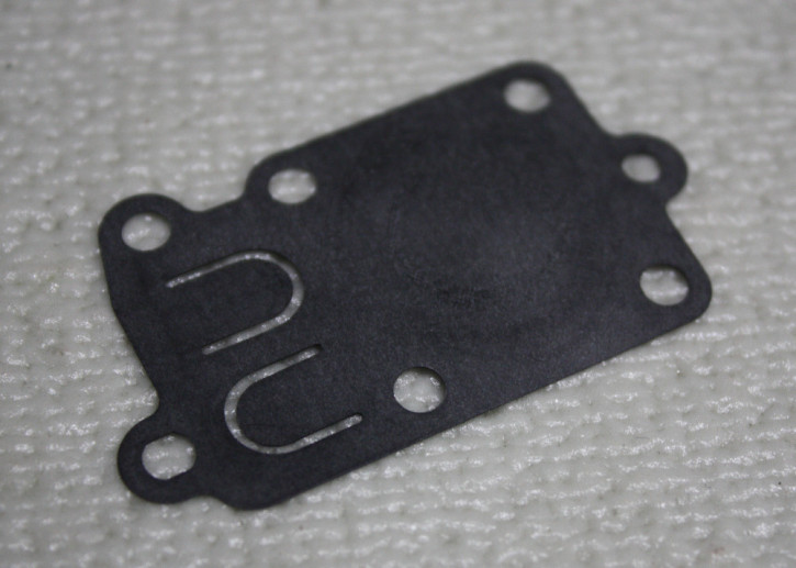 B&S : Ersatzteil Membrane 272538S-BRI