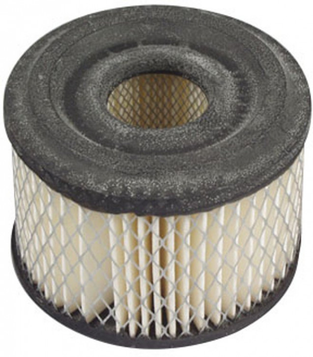Briggs & Stratton Luftfilter 390492, 496047