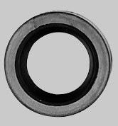 Briggs + Stratton Wellendichtring 291675