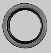 Briggs + Stratton Wellendichtring 294606