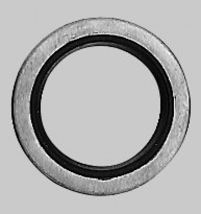Briggs + Stratton Wellendichtring 027676,089660,299819