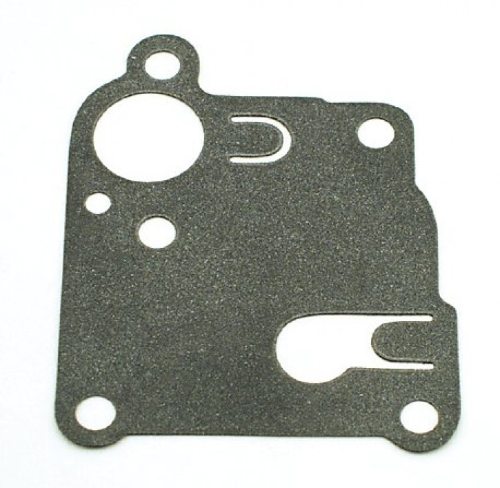 Briggs + Stratton Membrane 270253
