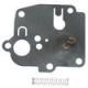 Briggs + Stratton Membrane 299636,391643,391681