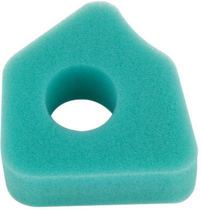 Briggs & Stratton Luftfilter 794071
