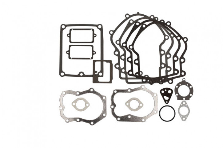 Briggs + Stratton Dichtungssatz 394501,491856,495868