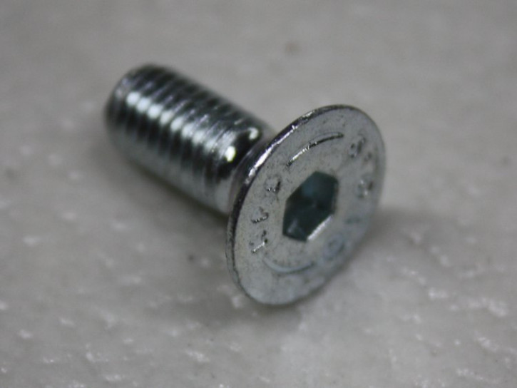Echo : Inbusschraube M8x20  (37-500011008)