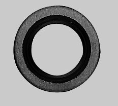 Tecumseh Wellendichtring 26208,29610001
