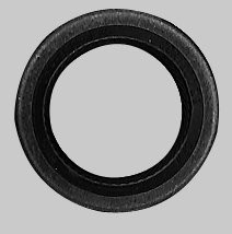 Tecumseh Wellendichtring 27897,29610018