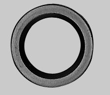 Tecumseh Wellendichtring 28427