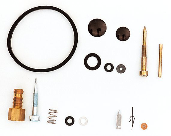 Tecumseh Vergaserreparatursatz 631029