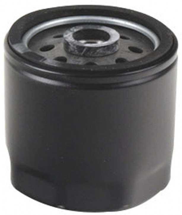 Lombardini Kraftstoffilter  M16 x 1,5 mm