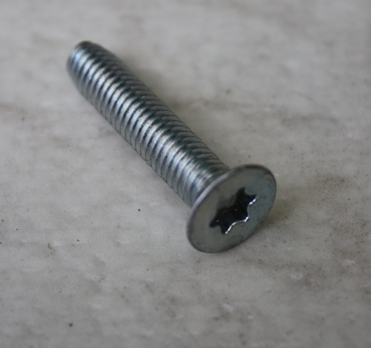 AS : Senkschraube Innen-Torx E10479-ASM AS Ersatzteil