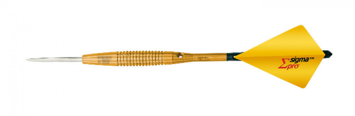 Steeldarts Pro