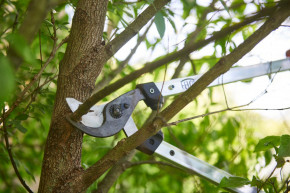 Felco Astschere 211-60 ZIEHENDER Schneidkopf