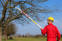 ARS Teleskopsäge Super TurboCut komplett bis 5,2 mtr.
