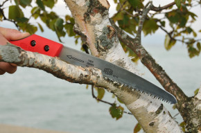 Astsäge Felco 621 mit Holster