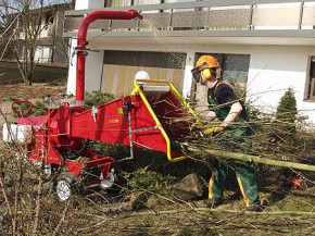 Echo Buschhacker - Professioneller Holzschnitzler GHX-CH1000