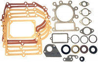 Briggs + Stratton Dichtungssatz 495993